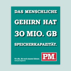 P.M., Guerilla Massnahme, Werbung, Daniela Sarau